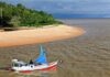 Pará: entre os búfalos e as praias da Ilha de Marajó