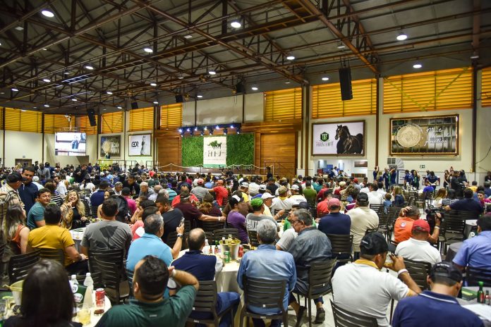 ExpoRingo/2025 movimenta o turismo do agronegócio em Sergipe ExpoRingo/2025 movimenta o turismo do agronegócio em Sergipe