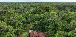 Jornalistas e Comunicadores Vivenciam Experiência Única na Rota Amazônia Atlântica