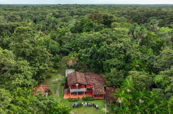Jornalistas e Comunicadores Vivenciam Experiência Única na Rota Amazônia Atlântica Jornalistas e Comunicadores Vivenciam Experiência Única na Rota Amazônia Atlântica