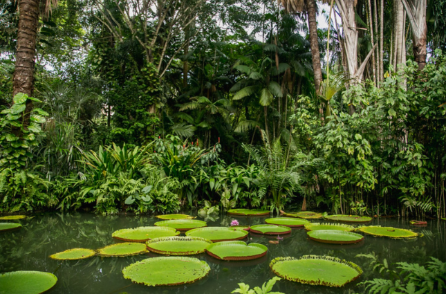 II CONGRESSO NACIONAL DE JORNALISTAS E COMUNICADORES DE TURISMO – BELÉM DO PARÁ II CONGRESSO NACIONAL DE JORNALISTAS E COMUNICADORES DE TURISMO – BELÉM DO PARÁ
