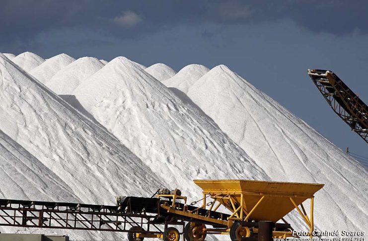 Sal Potiguar: Mais que um Tempero, um Legado de Ouro Branco e Inovação no RN