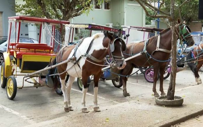 Charretes tradicionais deixam de circular em Poços de Caldas Charretes tradicionais deixam de circular em Poços de Caldas